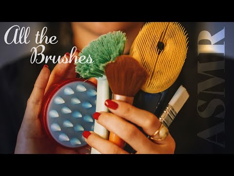 ASMR ~ All the Brushes ~ Extremely Tingly (no talking)