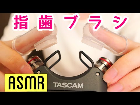 【ASMR/無言】指歯ブラシの音 Toothbrush to put on finger