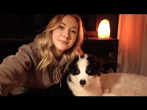 ASMR Cozy Hangout Sesh with my Puppy ✨Soft Spoken
