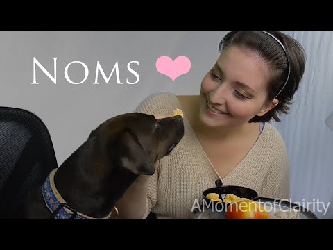 [ASMR] A Girl and Her Pupper | Mukbang | Crunchy Munchies ❤