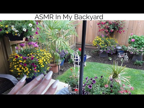 ASMR In My Backyard