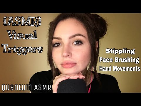 ASMR | Visual Triggers ~ Hand Movements ~ Face Brushing ~ Stippling | Quantum ASMR