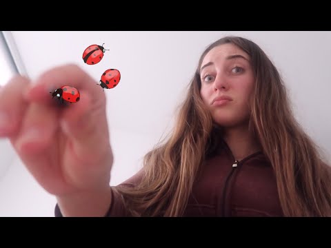 ASMR Plucking Bugs Off Your Face