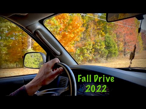 ASMR Fall Drive 2022 (No talking) You are a child being driven around in fall weather & foliage!