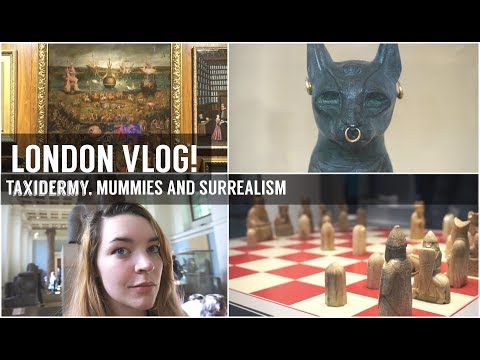ASMR Come with me to London! Taxidermy, Ancient Egypt and Pot Burials [Pandora Travels]