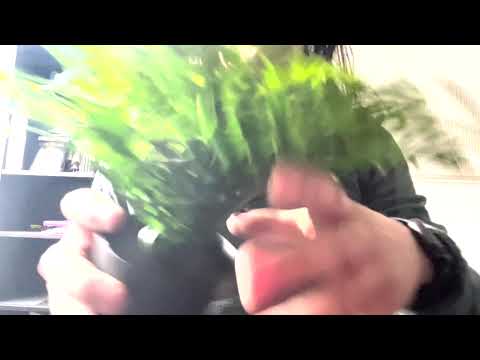 ASMR | Sounds of artificial plants (no talking)