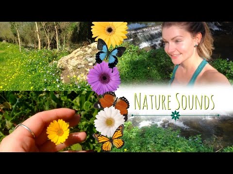 🌻 🌳 ASMR Soft Spoken : Relaxing Nature Walk 🌸 🍃