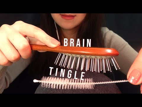 ASMR 🎧 1 HOUR of Tingly Brain Scratching for Sleep (No Talking)
