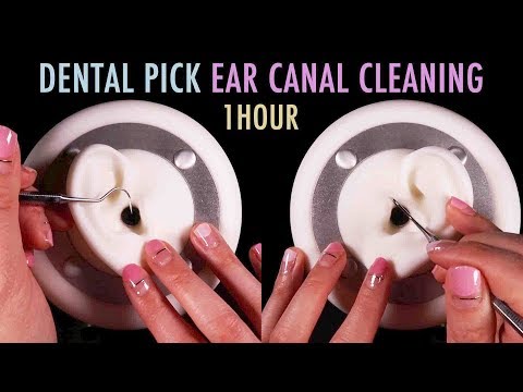 ASMR. 1 Hour of Ear Canal Cleaning w/ Dental Pick (No Talking)