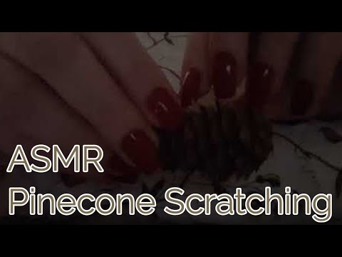 ASMR Pinecone Scratching (No Talking)