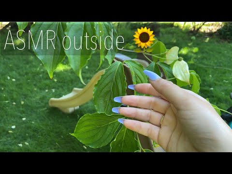 ASMR | Backyard tour with nature sounds | tapping & scratching on different objects 🌱☀️🌻