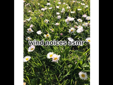 asmr | wind noises | no talking