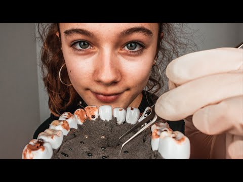 CLEANING YOUR TEETH! (with subtitles)