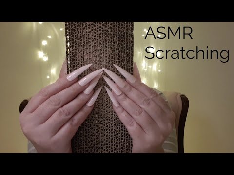 ASMR Scratching A Cat Scratch Board
