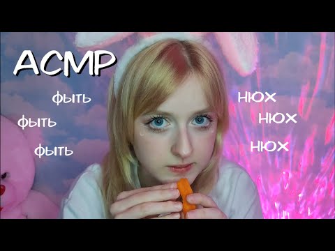 АСМР | Зайка обнюхивает тебя и ест морковку | Ролевая игра