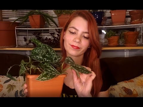 ASMR Plant Collection Show & Tell | Soft Spoken