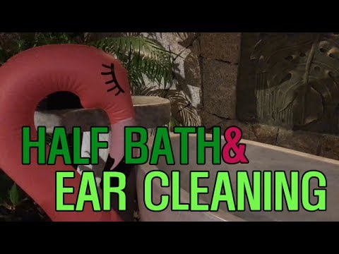 [ASMR] 여성전문 반신욕&귀케어샵  women-only half bath& Ear Cleaning Role Play