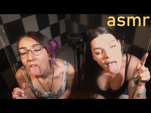 Ekko and Bonnie Glass Licking For Your Satisfaction (ASMR) - The ASMR Collection - Ekko ASMR