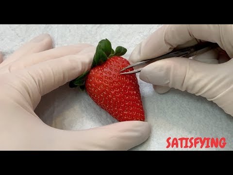[ASMR] Satisfying Seed Removal From Strawberry