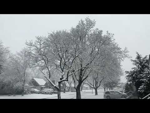 4K Snowy Village - Peaceful Snowing at Evening - Winter in Canada - Relaxing Snowfall Video
