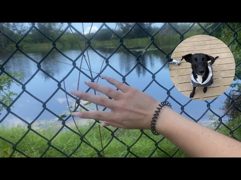 Asmr outside | Fast Tapping and Scratching | ft my dog 🥰