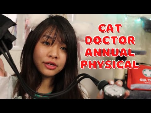 ASMR Cat Doctor Annual Physical Roleplay