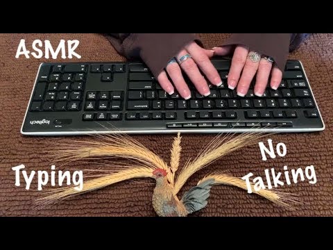 ASMR Typing (No talking) Computer keyboard