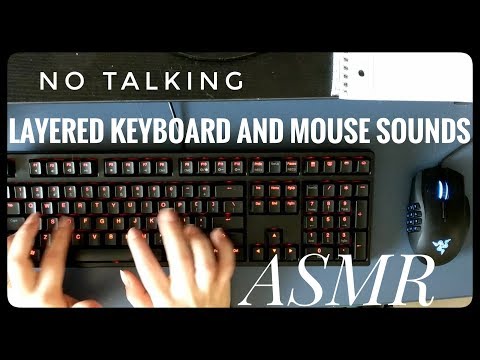 Layered Typing for 1 Hour ASMR (No Talking)