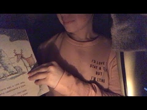 ASMR Reading You a Bedtime Story *ROLEPLAY*