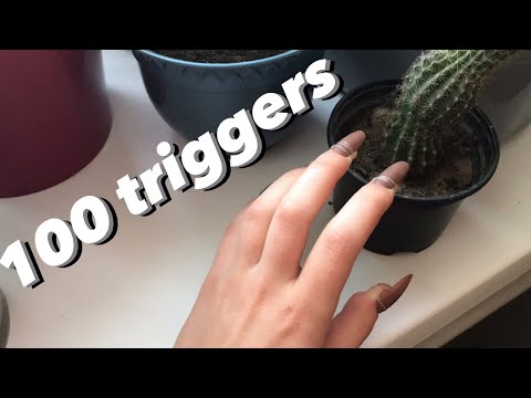 Asmr | 100 triggers in 2 minutes | tapping with long nails