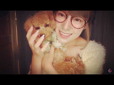 ASMR 愛犬から予想外のチョコの音🍫お気に入りの音🐶睡眠誘導/tapping on chocolate dog🍫and relax sounds/癒しの音🌟