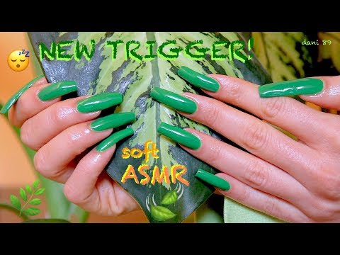 🎧 TEST: is this a new TRIGGER for You? 🌱Soft ASMR🌿 GREEN theme for more relaxation🍃 Touching plant ❀