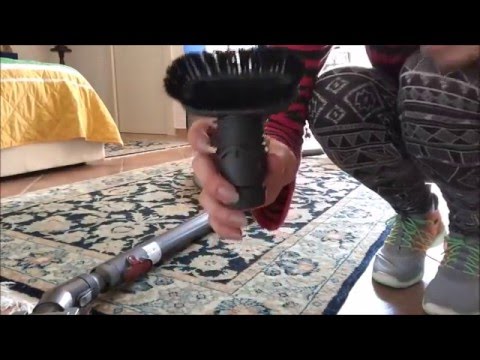 ASMR Vacuuming a Carpet