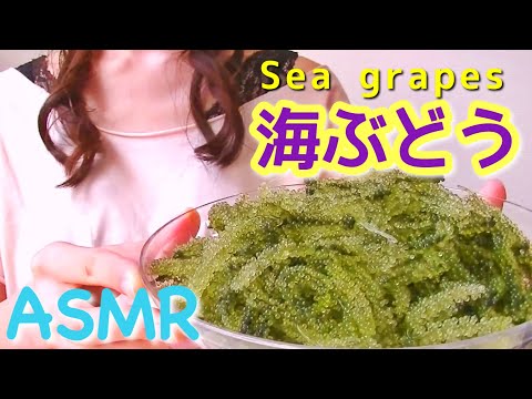 【ASMR】[囁き] Eating sea grapes 海ぶどうの咀嚼音