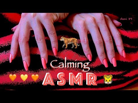 🐯 It's TIGER DAY! 🐯 🎧 Soft ASMR with gentle TINGLES! ✶ Scratching SOFTNESS Fabric ✦