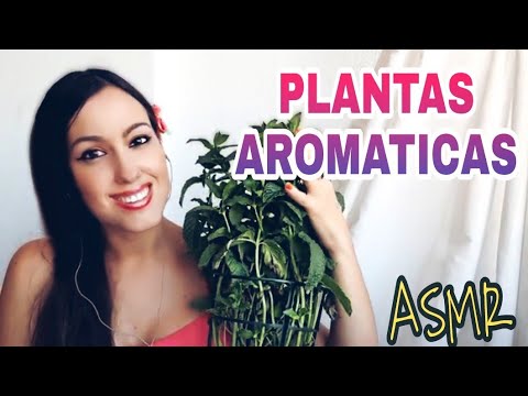 ASMR PLANTAS AROMATICAS-Soft Spoken