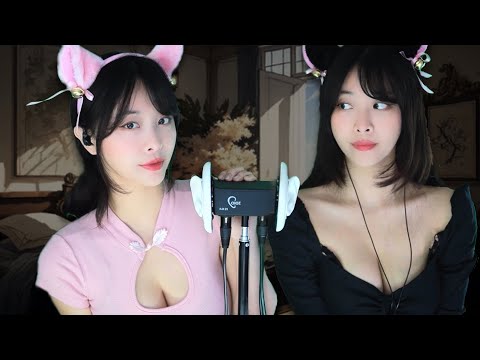ASMR l Ear-Cleaning of twin cats 😽😼