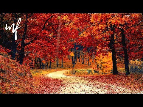 Walking Into Autumn ASMR Ambience