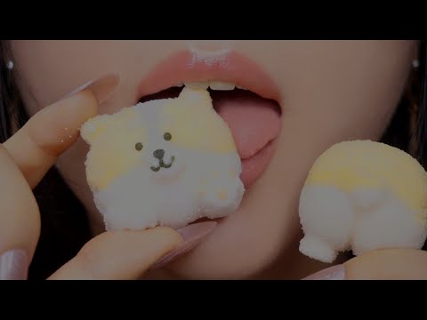 [ASMR] Doggy Marshmallow Up Close Eating 웰시코기 마시멜로우 클로즈업 이팅