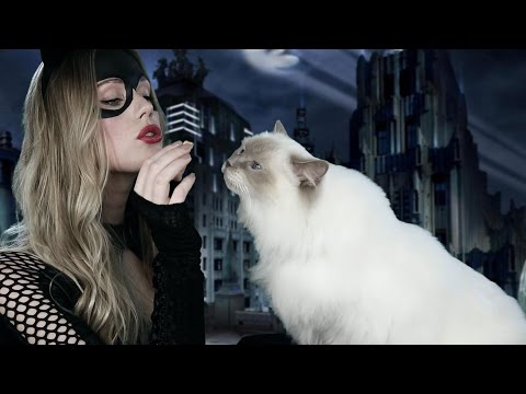 ASMR CATWOMAN ROLE PLAY (BRUSHING HAIR, PURRING)