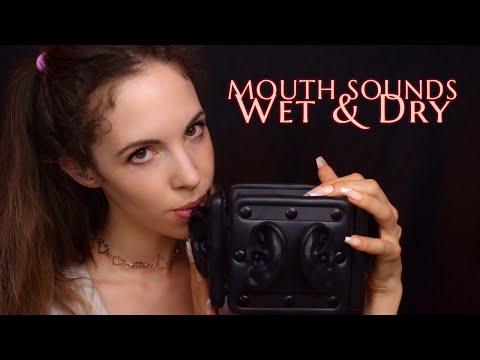 ASMR Wet VS Dry MOUTH SOUNDS & Some SPIT PAINTING