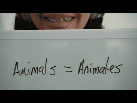 ASMR/ Let's learn a few Animals in Spanish!