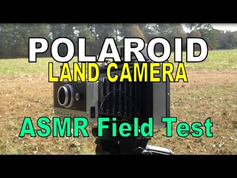 Polaroid Land Camera - Field Test