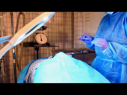 ASMR Hospital Autopsy | Medical Examiner Role Play