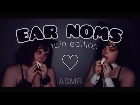 ASMR // Twin Ear Nomming 🐱🐰