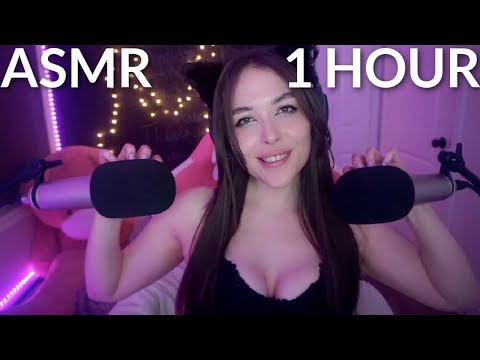 ASMR 1 Hour Of Purring and Scratching Audio Relaxation (filmed live)