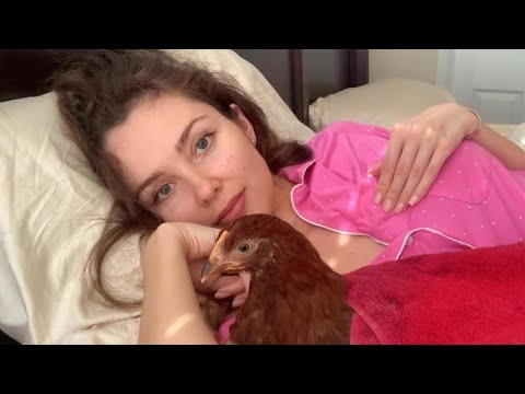 ASMR | HEARTBEAT WITH MY CHICKEN