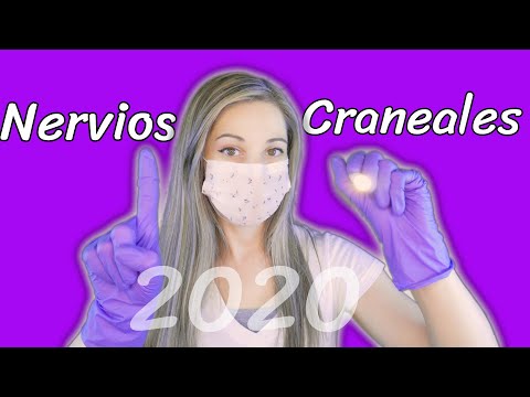 ASMR Nervios Craneales Clásicos | Roleplay Médico | SusurrosdelSurr | Español