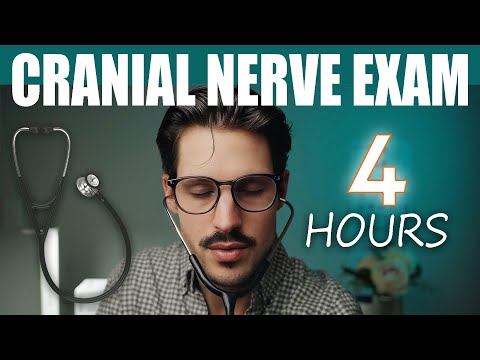 ASMR | The Longest Cranial Nerve Exam on YouTube