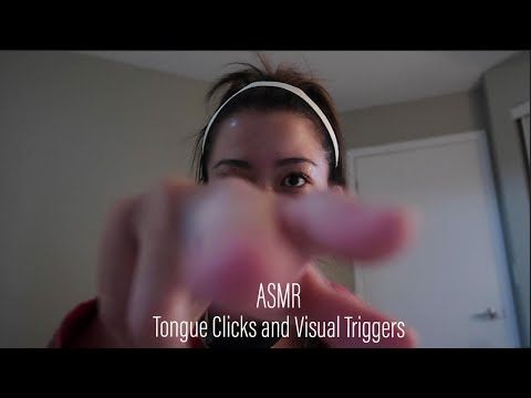 ASMR || Tongue Clicks and Visual Tiggers